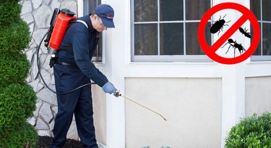 Küçükyalı Gümüşkurt İlaçlama böcek ilaçlama ve haşere kontrolü — ilaclama-tr.com